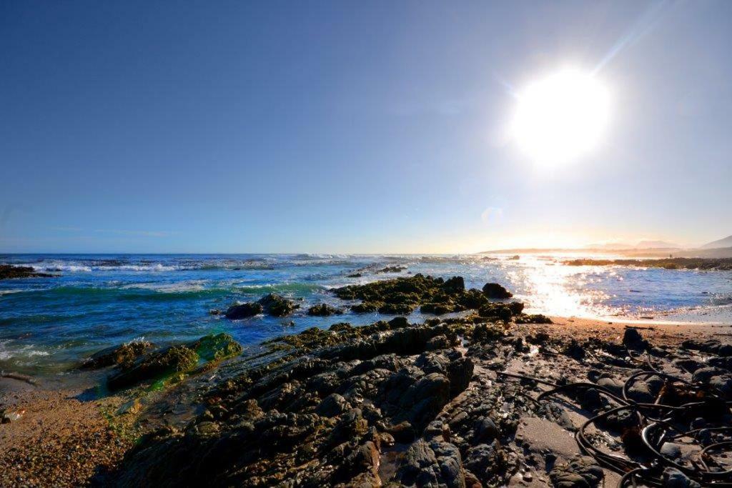 Saffron Cottage Hermanus Esterno foto